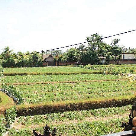 Ancut Sari Ubud Exterior foto