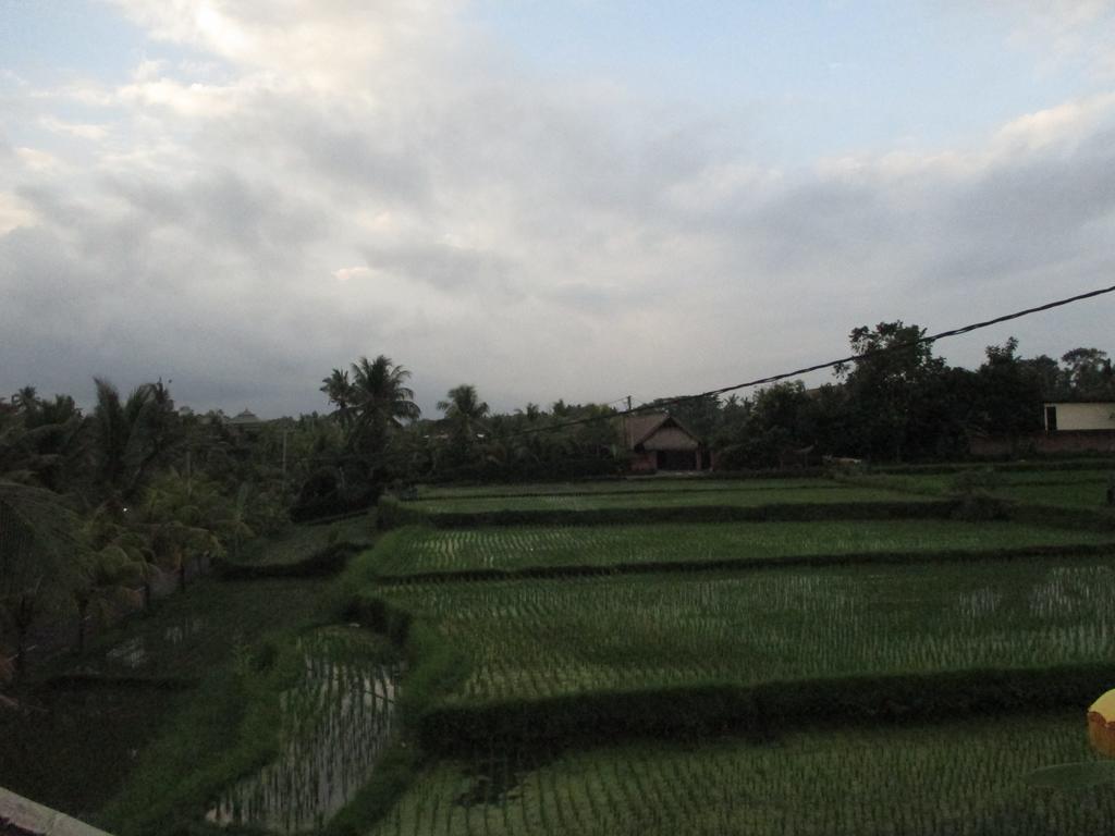 Ancut Sari Ubud Exterior foto