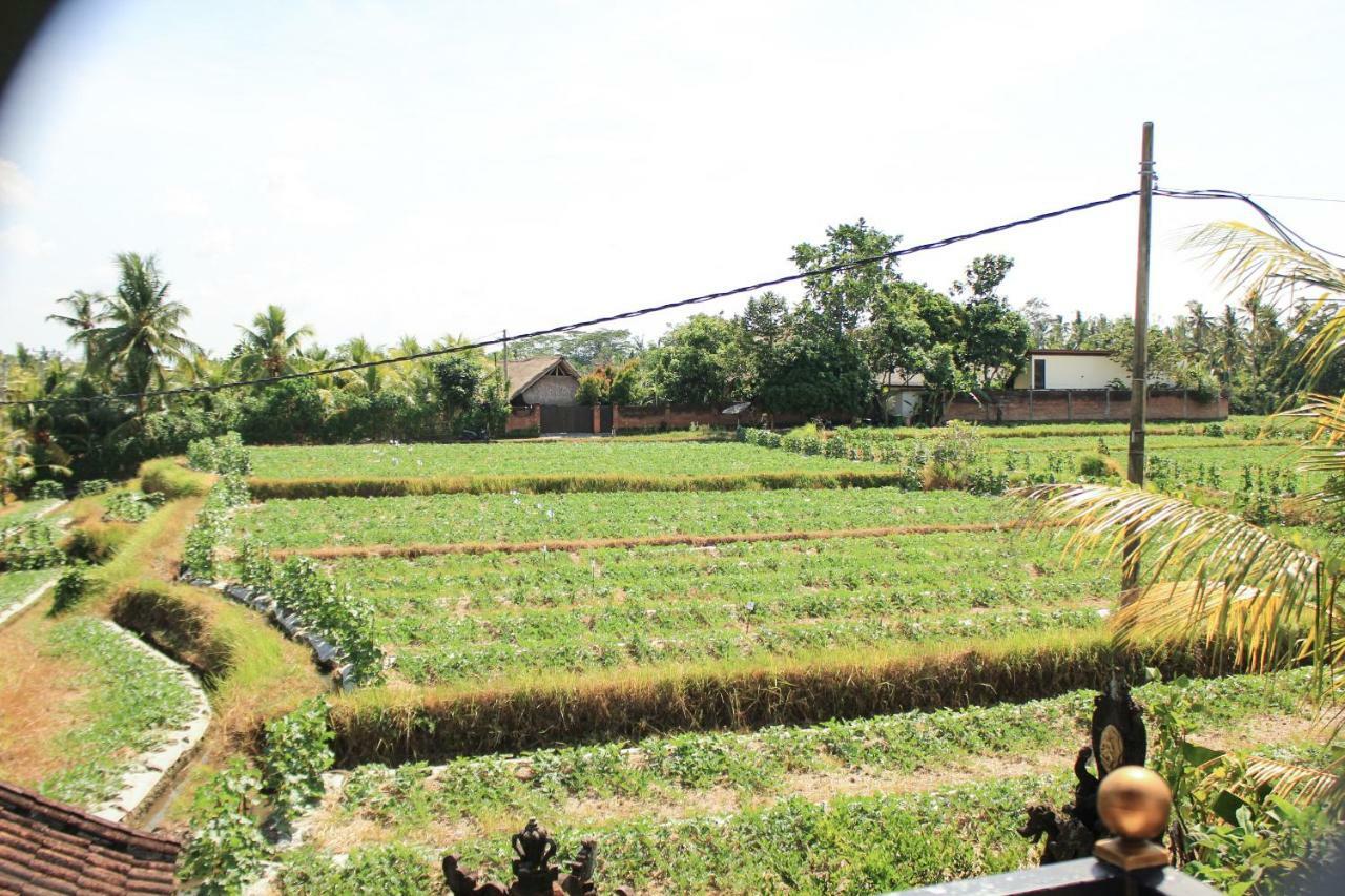 Ancut Sari Ubud Exterior foto