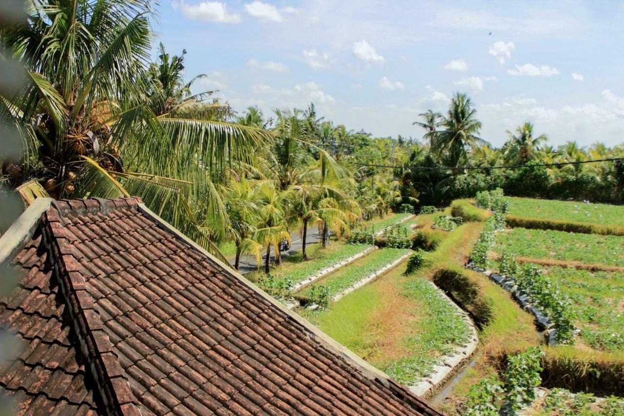 Ancut Sari Ubud Exterior foto
